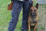 Polizistin mit Hund