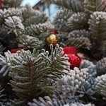 Weihnachtsmarkt in Weingarten: "Wingerter Weihnachtsmänner" in den Startlöchern