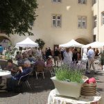 Rosenwanderung, Rosenmarkt und Dornröschen-Fest: Großes Abschlusswochenende der Rosenwochen 2022