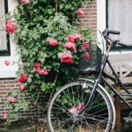Matinee in Landau zu 150 Jahre Fahrrad