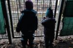 Kinder hinter einem Gitter