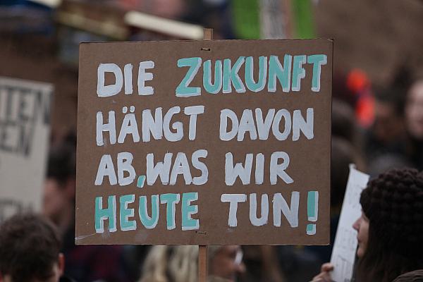 Fridays-for-Future-Protest Plakat