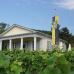 Drachenfels-Club bietet Historische Weinwanderung an