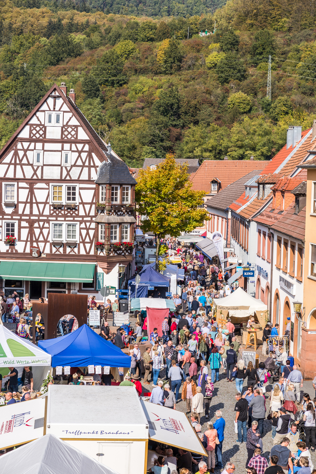 Keschdefest in Annweiler
