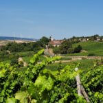 Pfälzer Owend mit Michael Landgraf: Reise durch die Pfalz