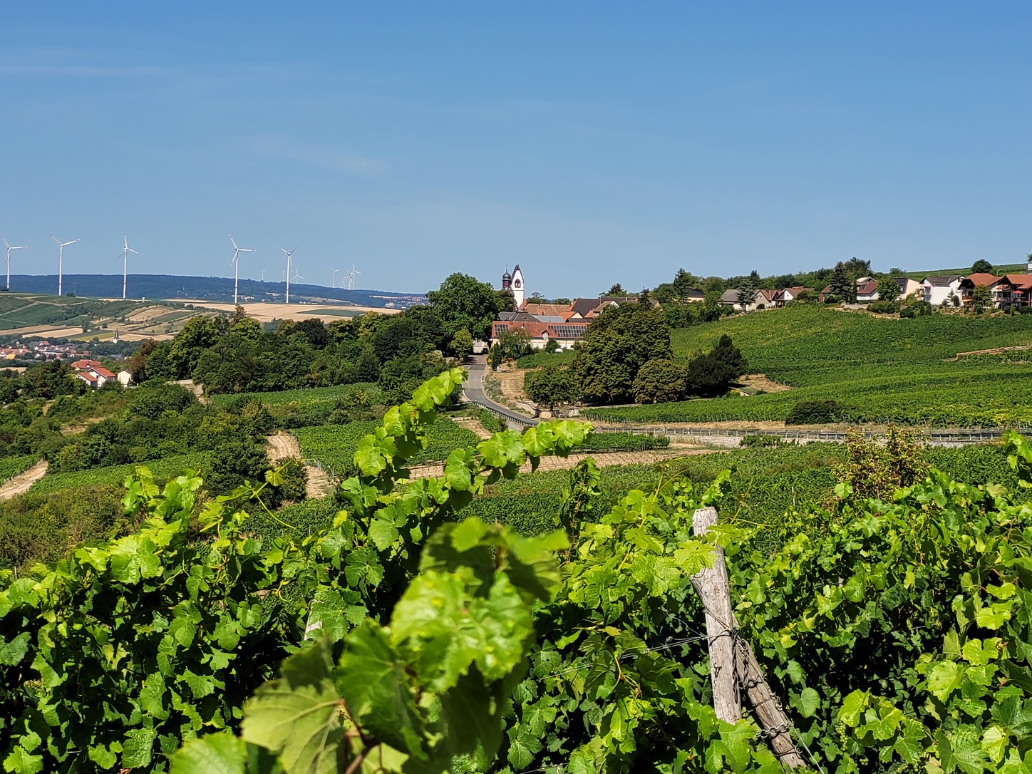 Pfälzer Owend mit Michael Landgraf: Reise durch die Pfalz