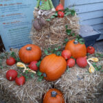 Herbstfest im Landauer Zoo