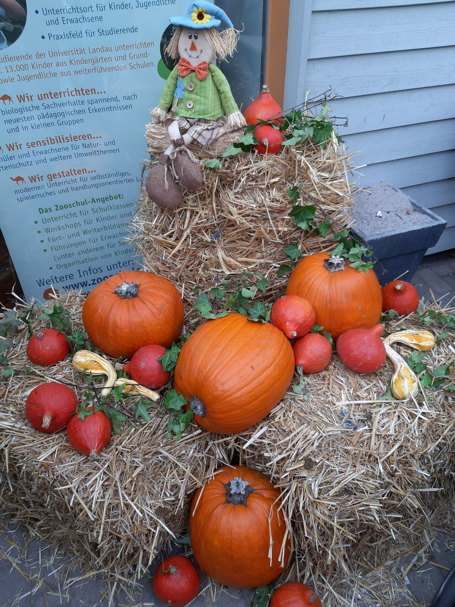 Herbstfest im Landauer Zoo